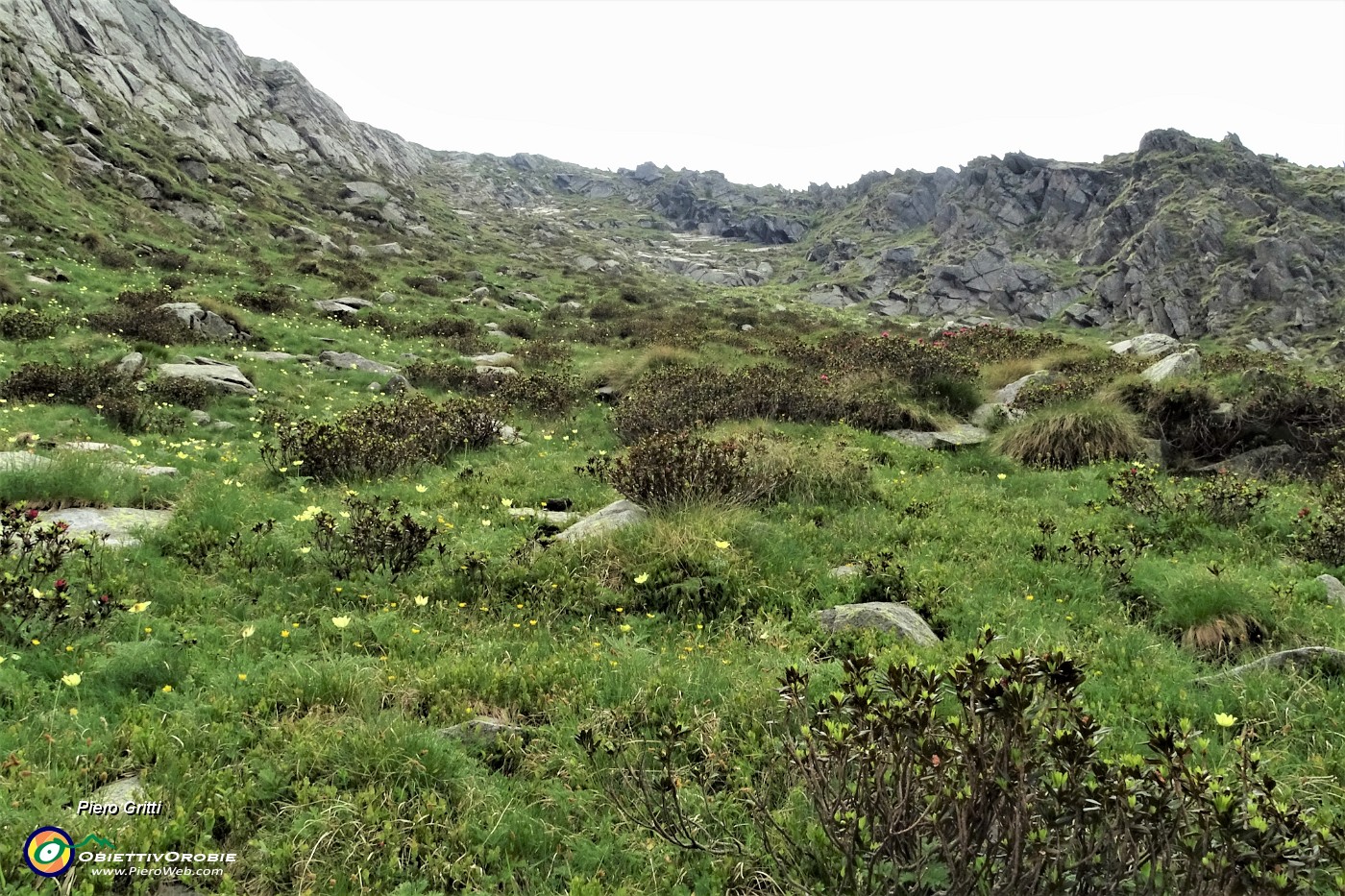66 Sguardo indietro al ripido valloncello fiorito, salito e disceso.JPG